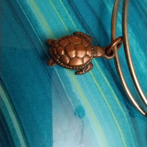 Alex and Ani Sea Turtle Charm Bracelet - Picture 12 of 13